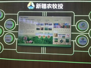 參展簡介